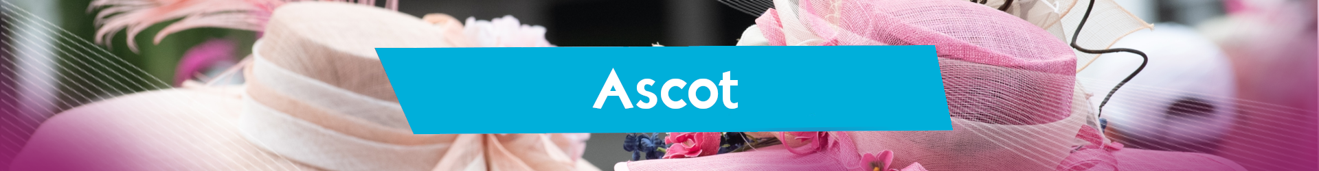 Ascot Banner